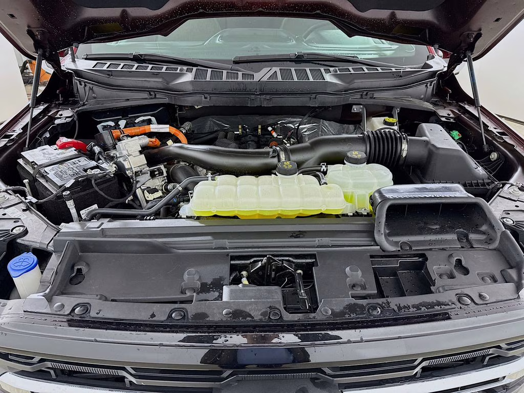 2025 Maroon Ford F-150 XLT Truck