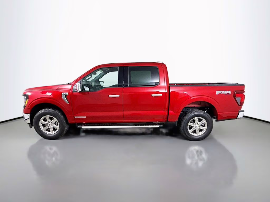 2025 Maroon Ford F-150 XLT Truck