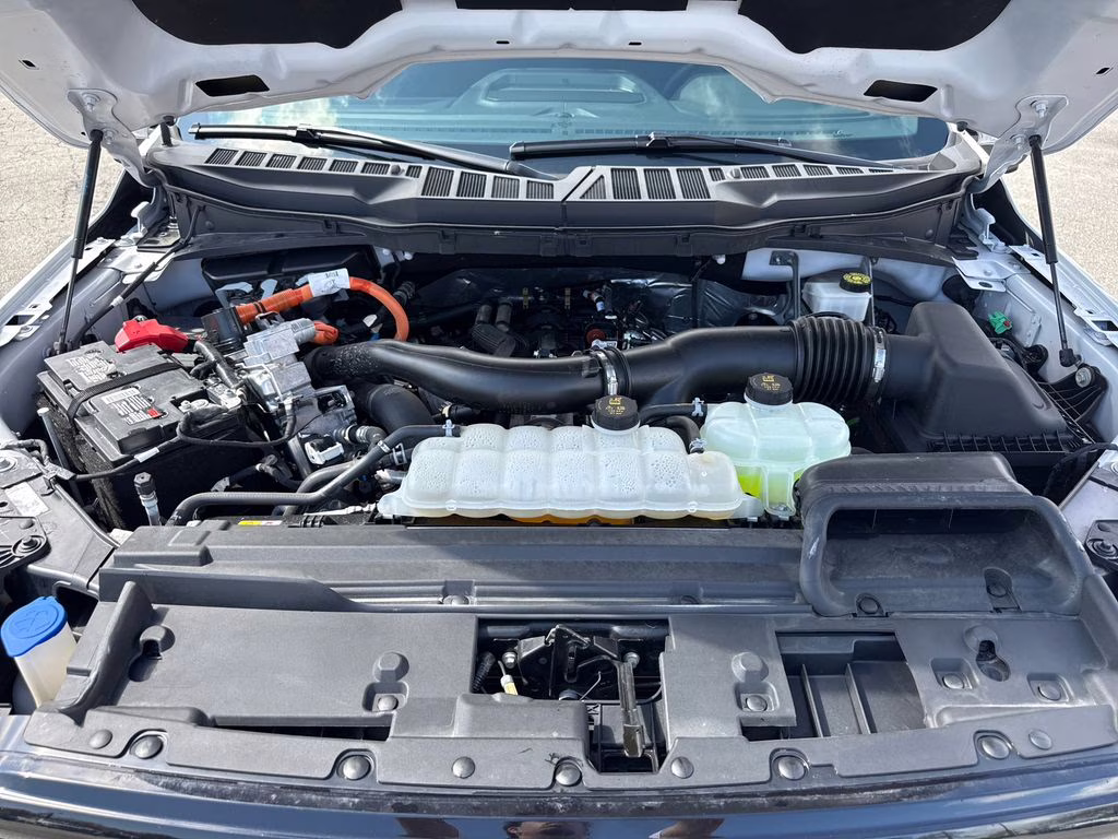 2024 Oxford White Ford F-150 XLT 4X4 Truck