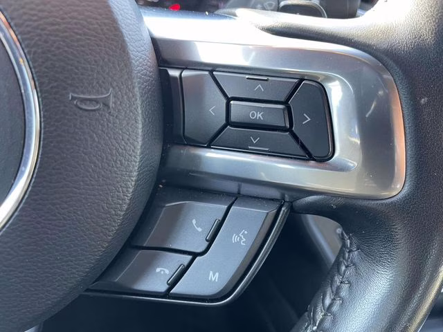 2019 Magnetic Metallic Ford Mustang EcoBoost Premium RWD Coupe