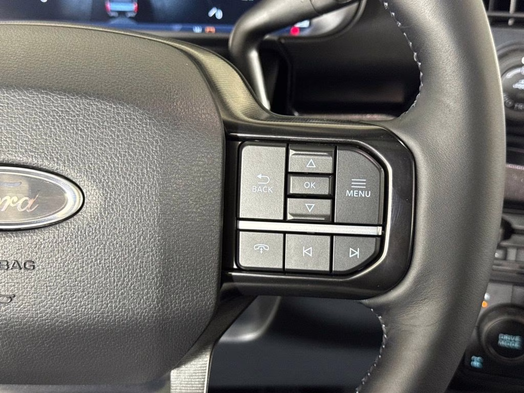 2026 Agate Black Metallic Ford Super Duty F-250 SRW Platinum 4X4 Truck