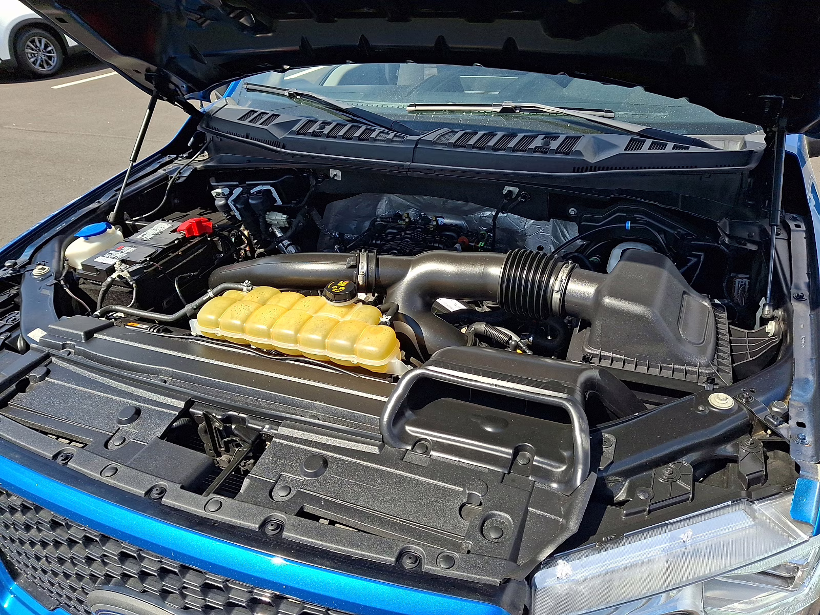 2020 Velocity Blue Metallic - E7 Ford F-150 XL 4X4