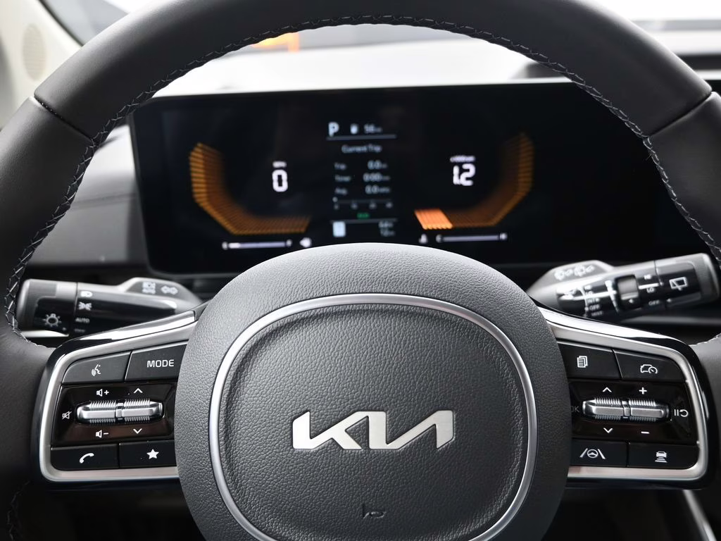 2026 Panthera Metal Kia Carnival EX FWD Van