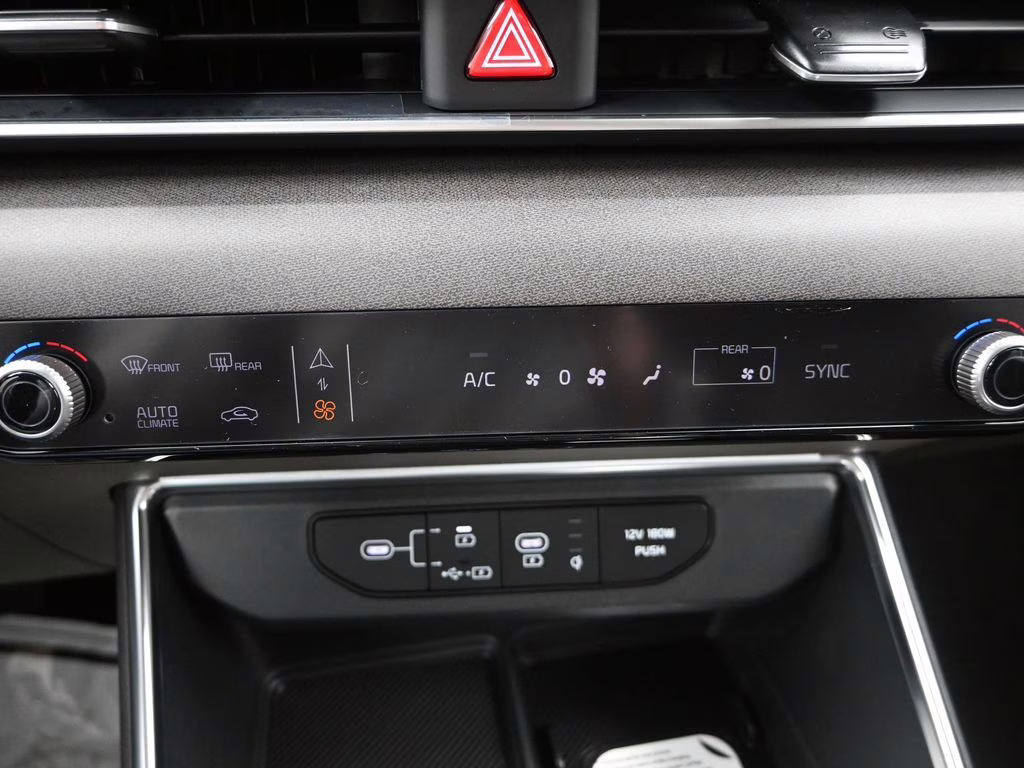 2026 Panthera Metal Kia Carnival EX FWD Van