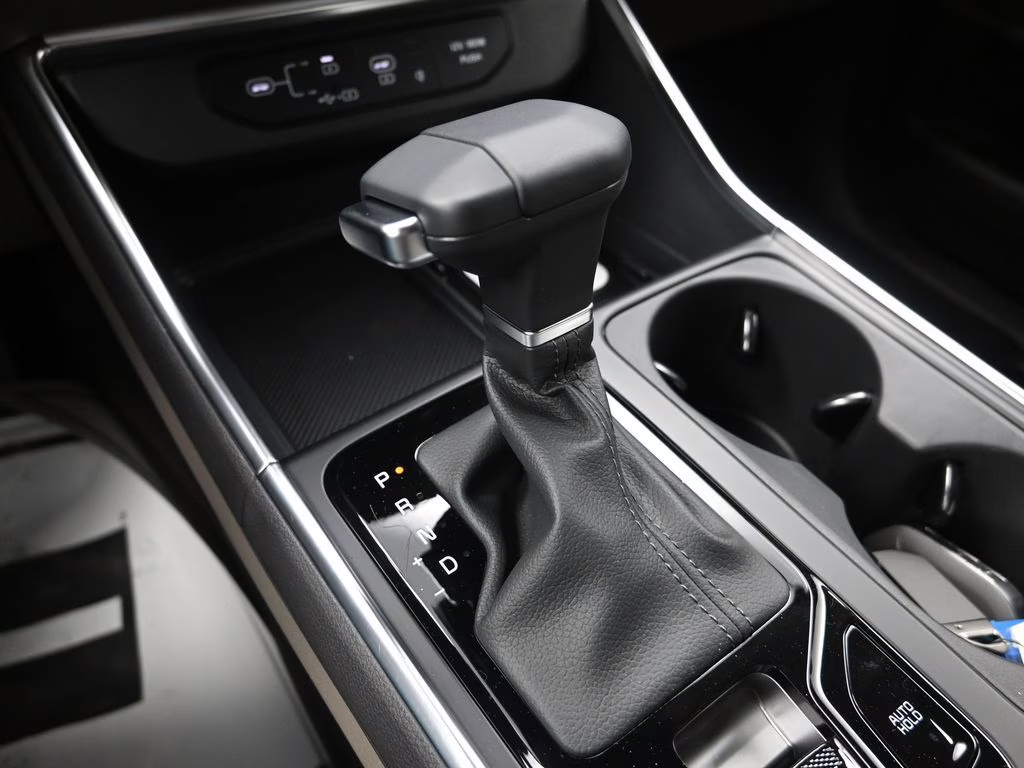 2026 Panthera Metal Kia Carnival EX FWD Van