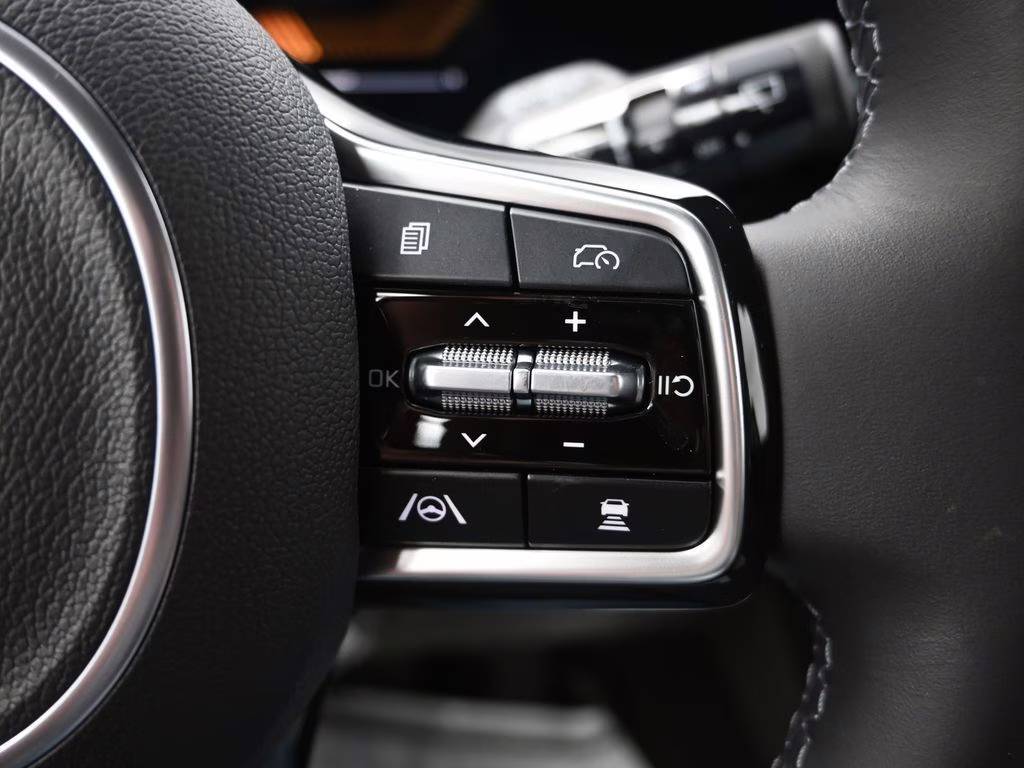 2026 Panthera Metal Kia Carnival EX FWD Van