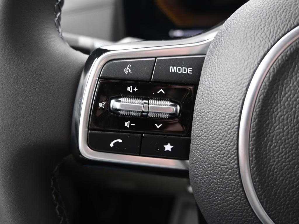 2026 Panthera Metal Kia Carnival EX FWD Van