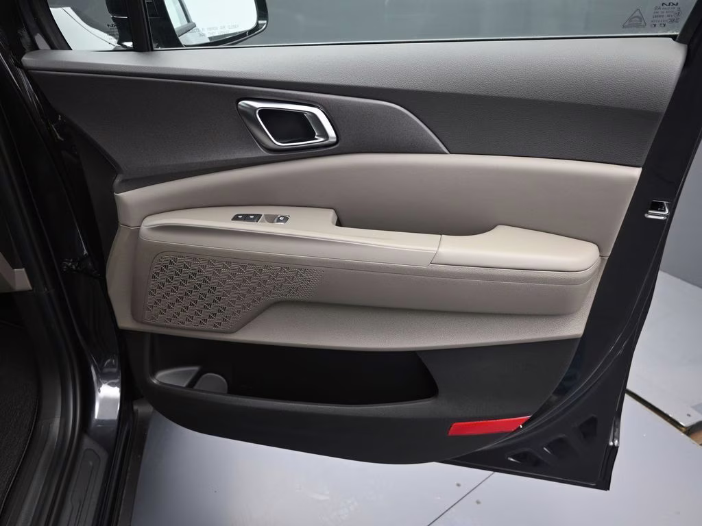 2026 Panthera Metal Kia Carnival EX FWD Van