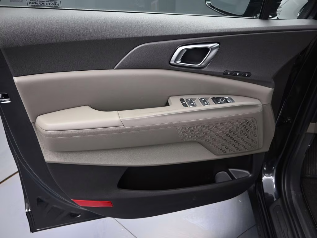 2026 Panthera Metal Kia Carnival EX FWD Van