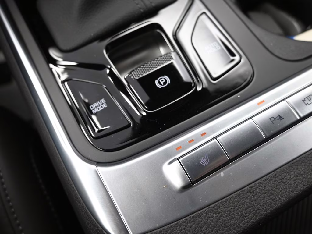 2026 Panthera Metal Kia Carnival EX FWD Van