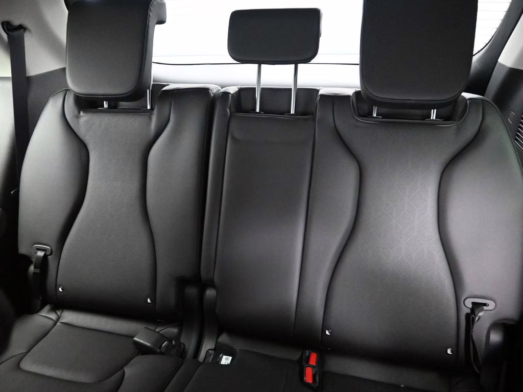 2026 Panthera Metal Kia Carnival EX FWD Van