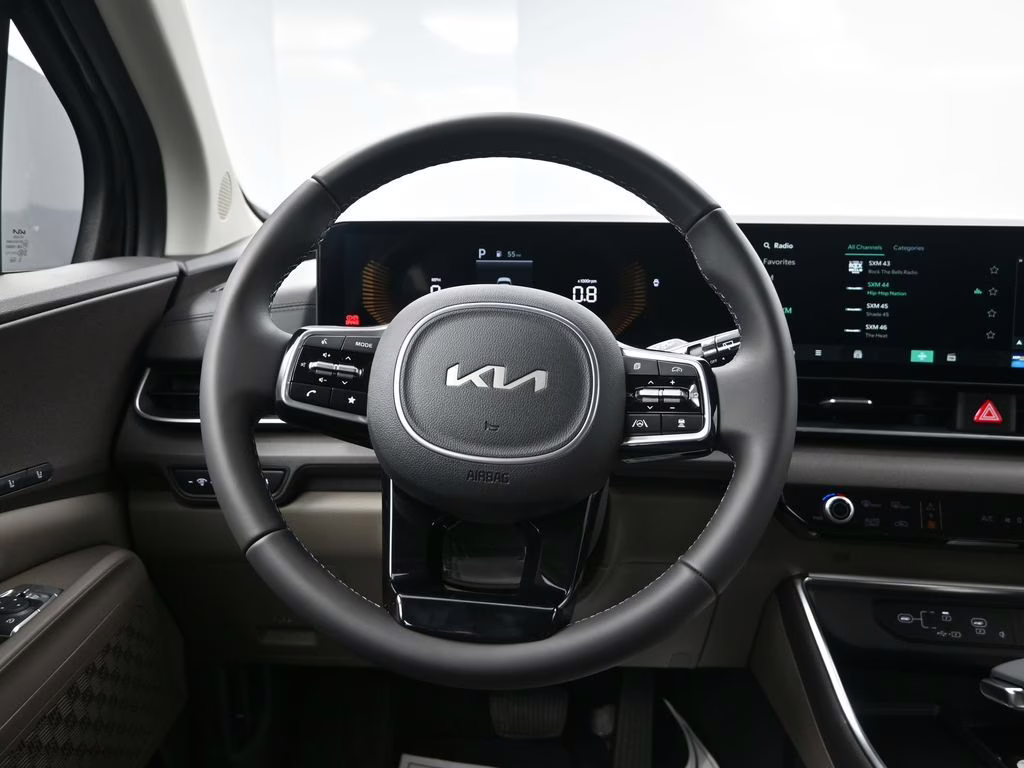 2026 Panthera Metal Kia Carnival EX FWD Van