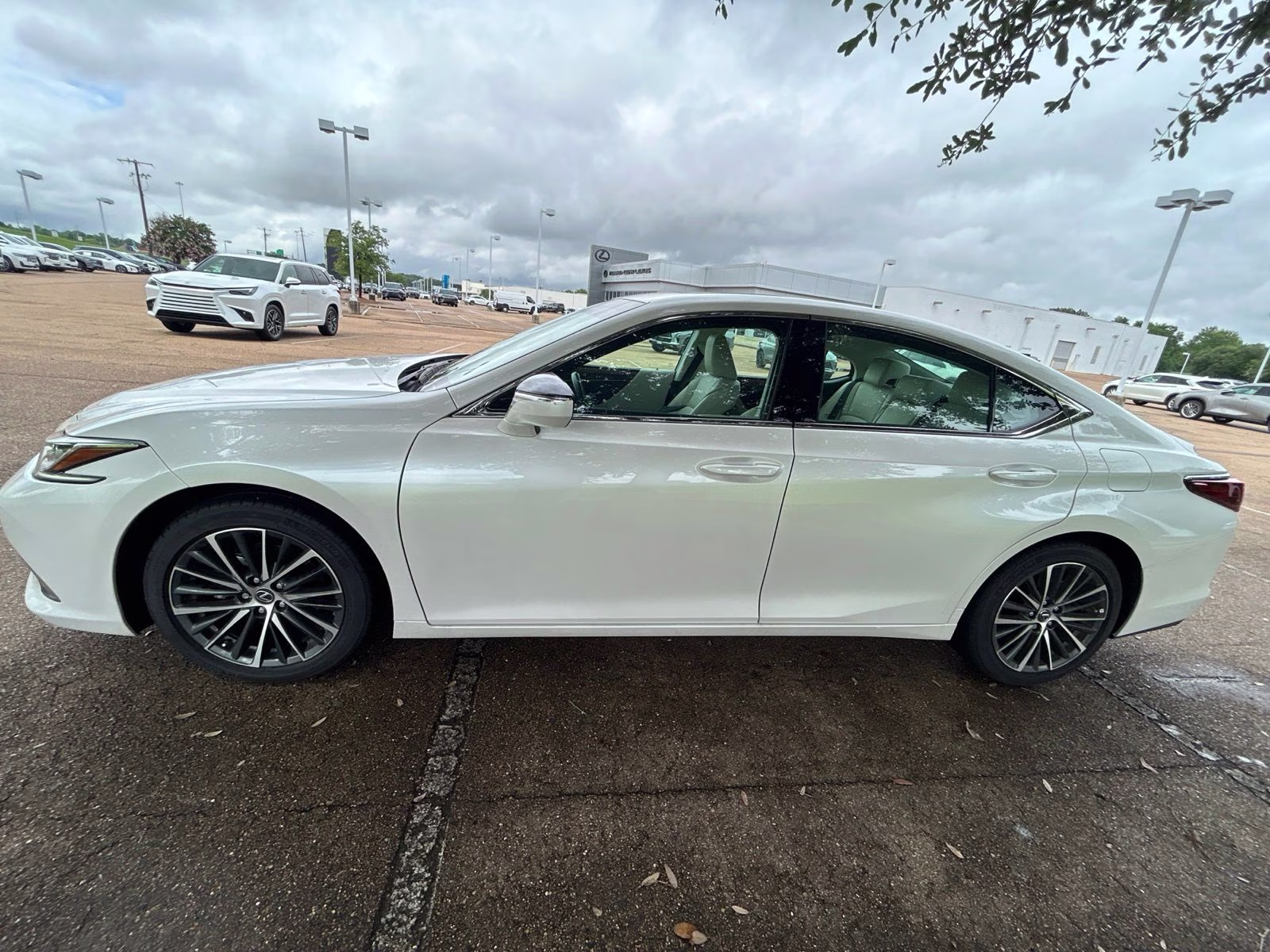 2025 White Pearl Lexus ES 350 FWD Sedan