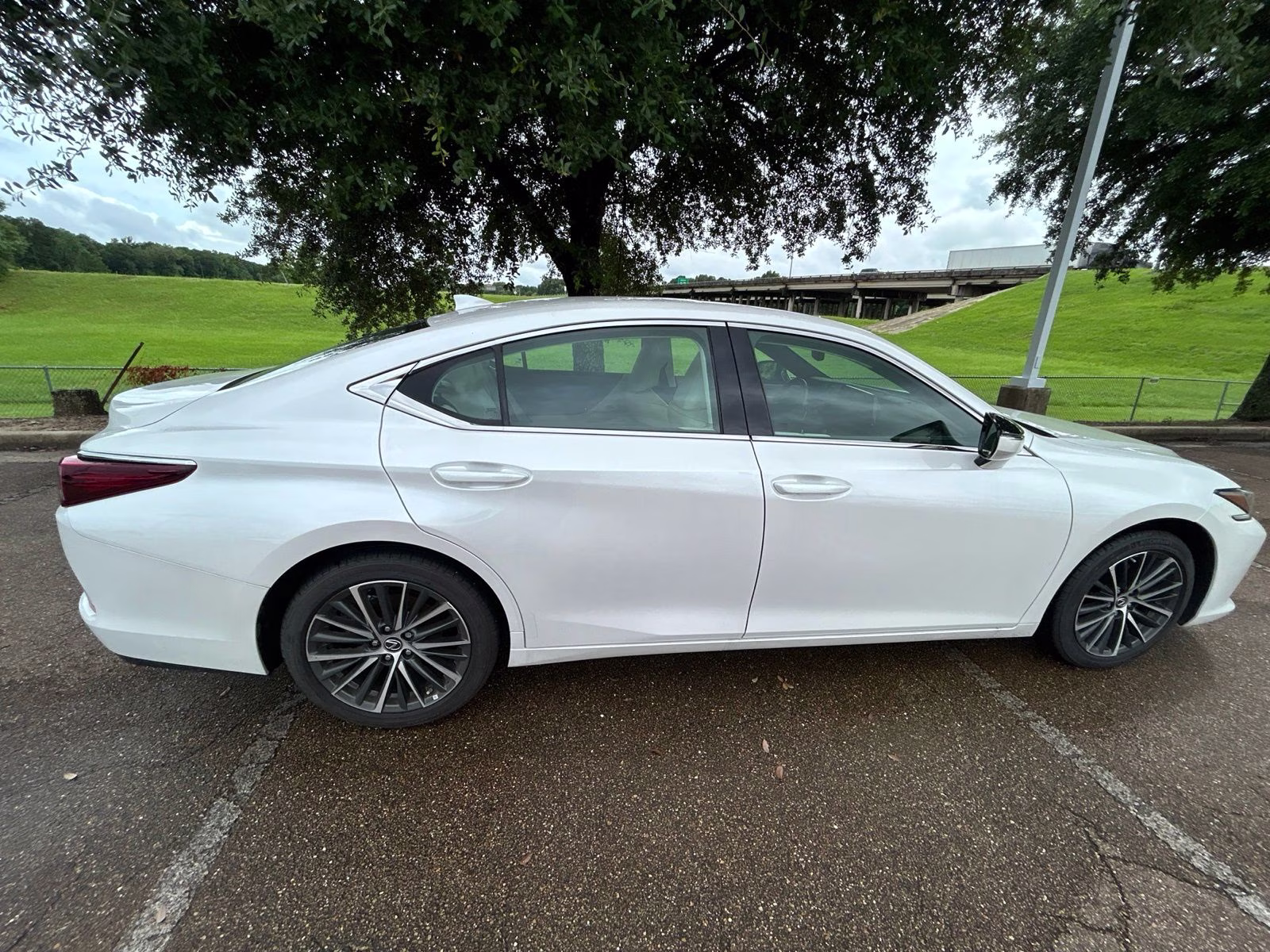 2025 White Pearl Lexus ES 350 FWD Sedan
