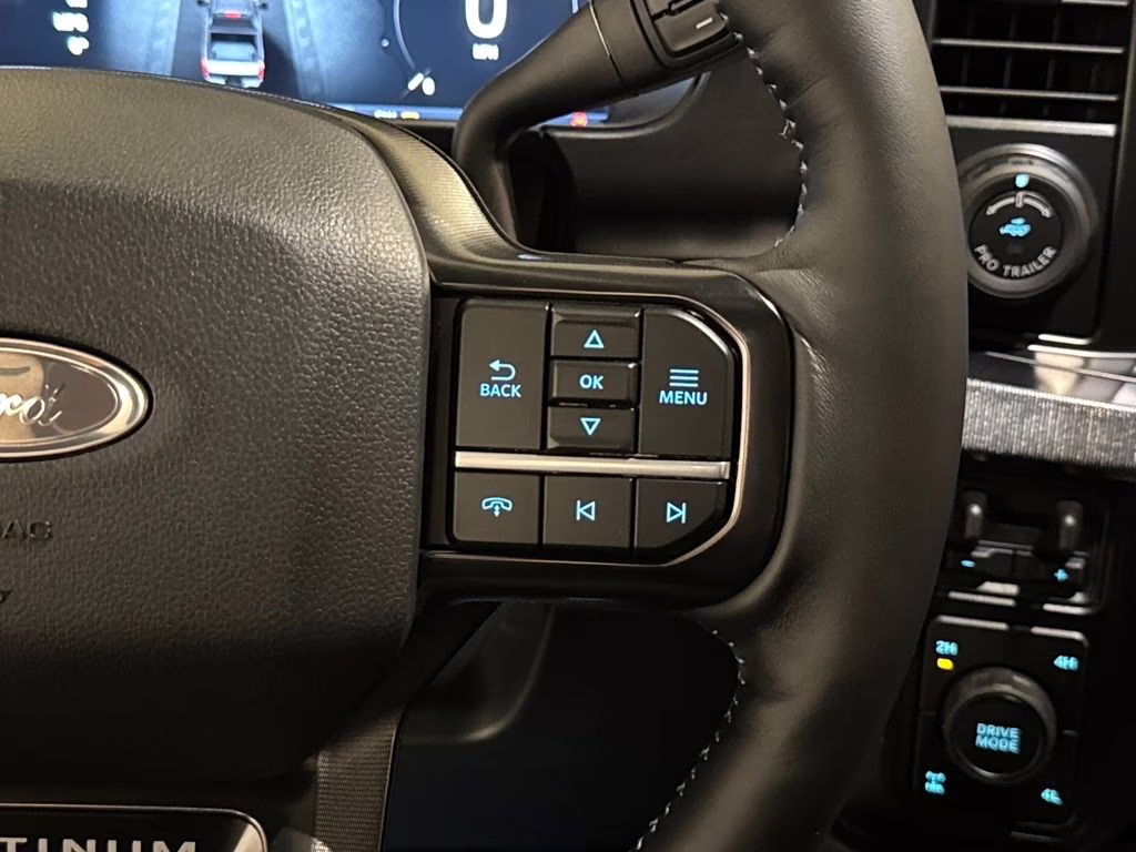 2026 Agate Black Metallic Ford Super Duty F-250 SRW Platinum 4X4 Truck