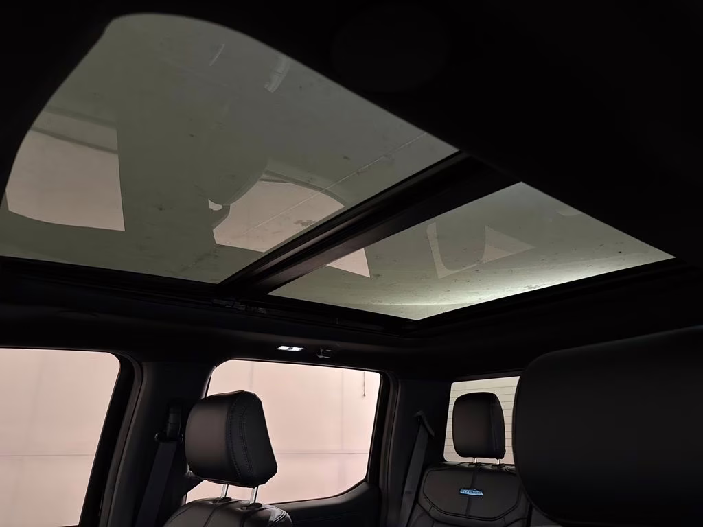 2026 Agate Black Metallic Ford Super Duty F-250 SRW Platinum 4X4 Truck