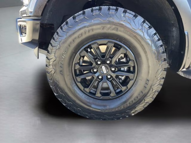 2024 Gray Metallic Ford F-150 Raptor 4X4 Truck