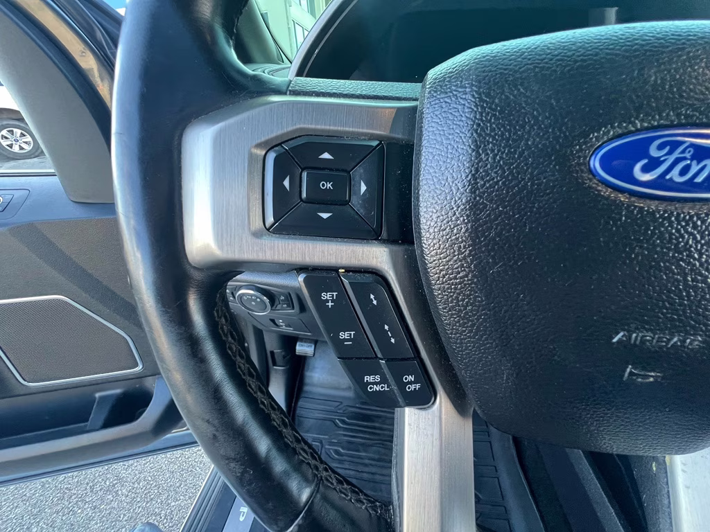 2017 Magnetic Metallic Ford F-150 Platinum 4X4 Truck