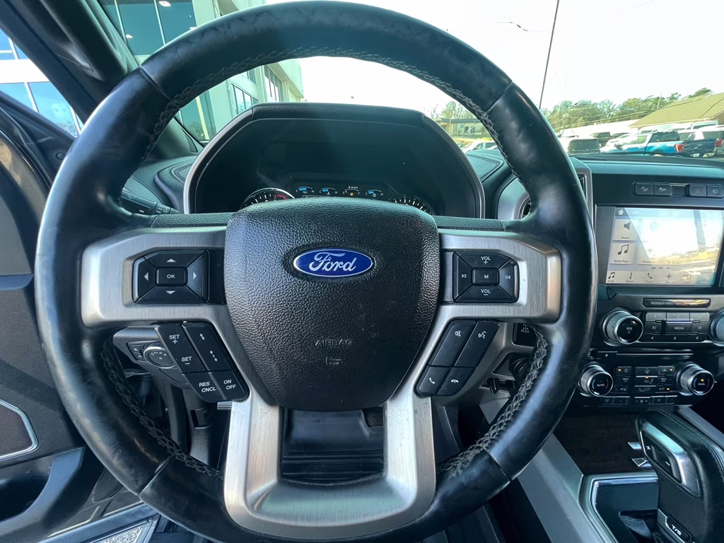 2017 Magnetic Metallic Ford F-150 Platinum 4X4 Truck