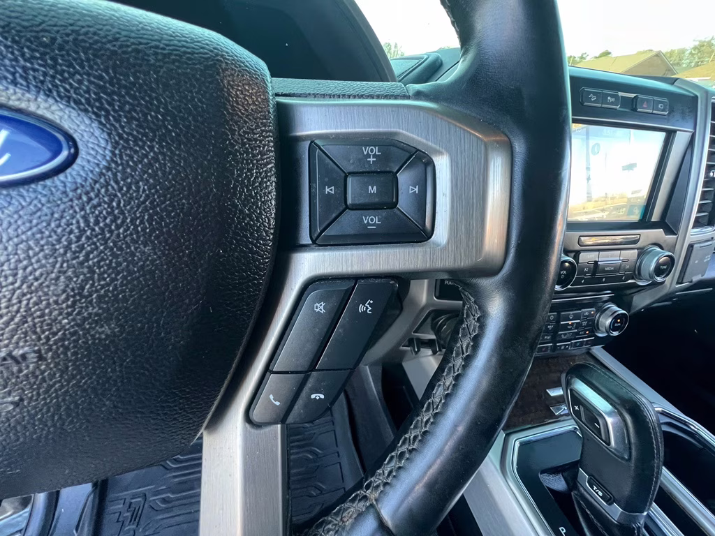 2017 Magnetic Metallic Ford F-150 Platinum 4X4 Truck