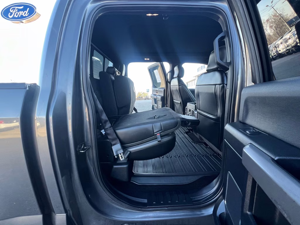 2017 Magnetic Metallic Ford F-150 Platinum 4X4 Truck