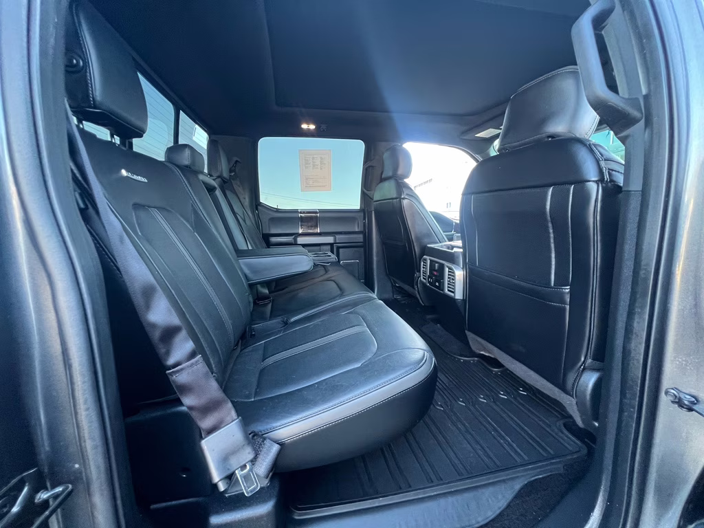 2017 Magnetic Metallic Ford F-150 Platinum 4X4 Truck