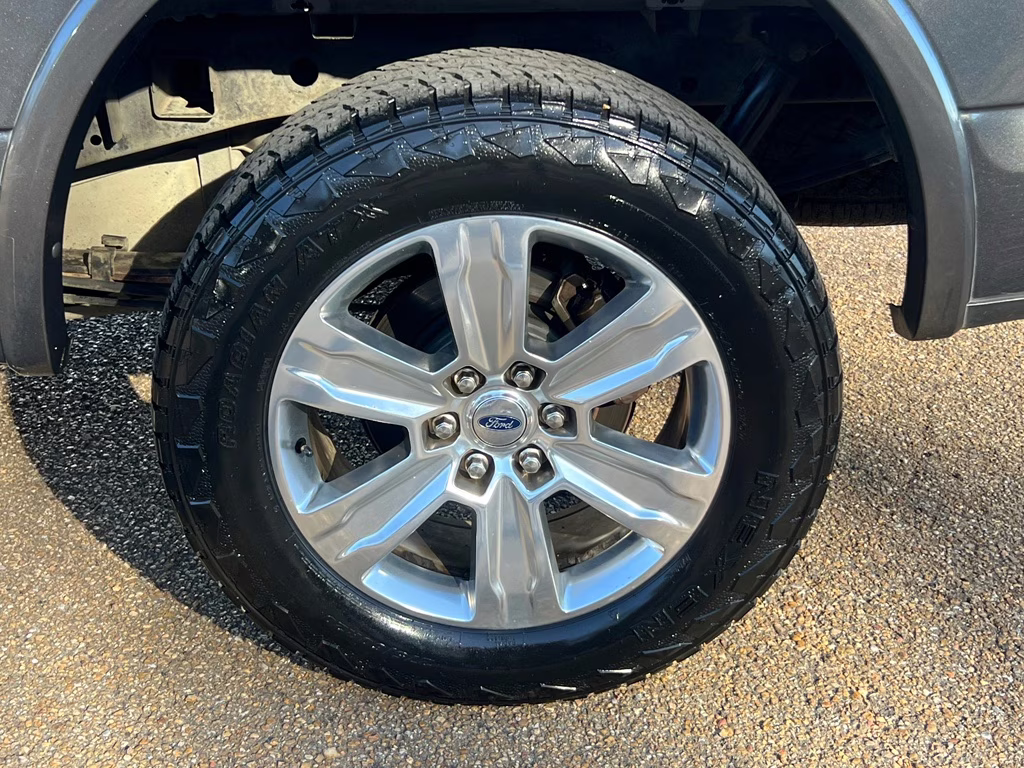 2017 Magnetic Metallic Ford F-150 Platinum 4X4 Truck