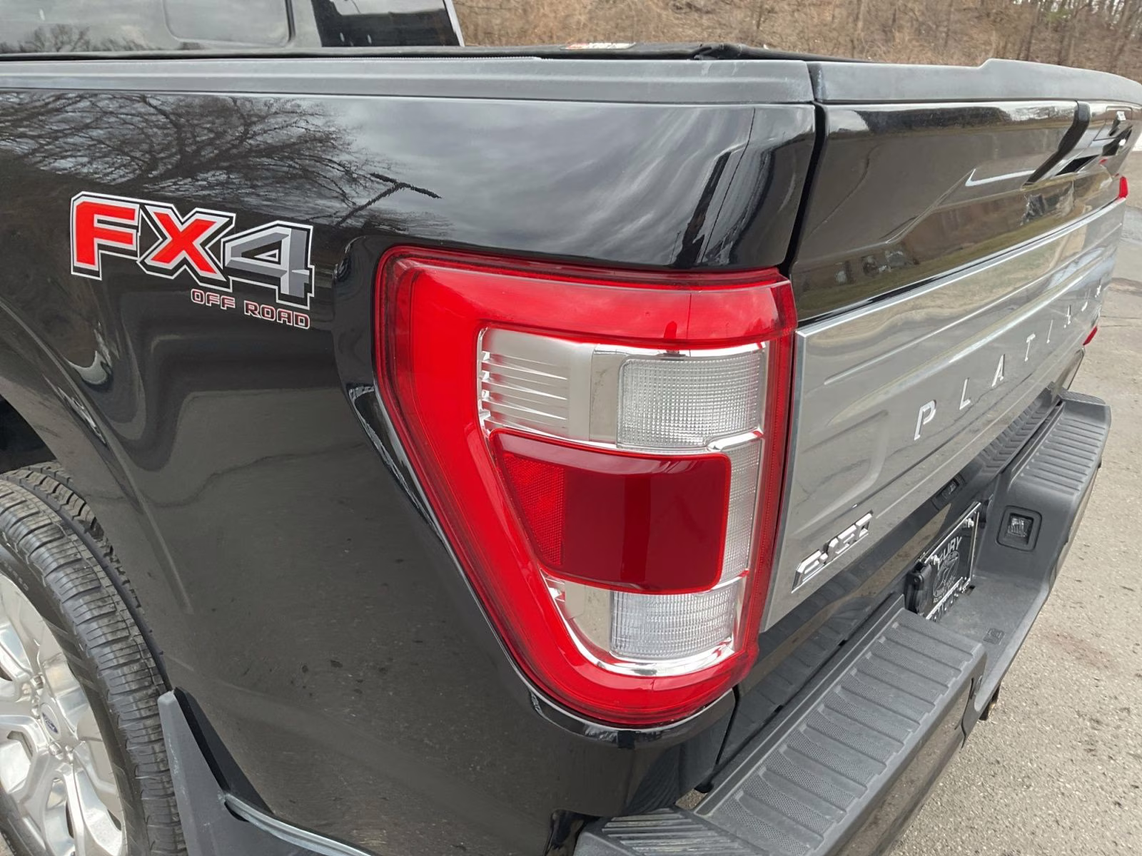 2021 Black Metallic Ford F-150 Platinum 4X4 Truck