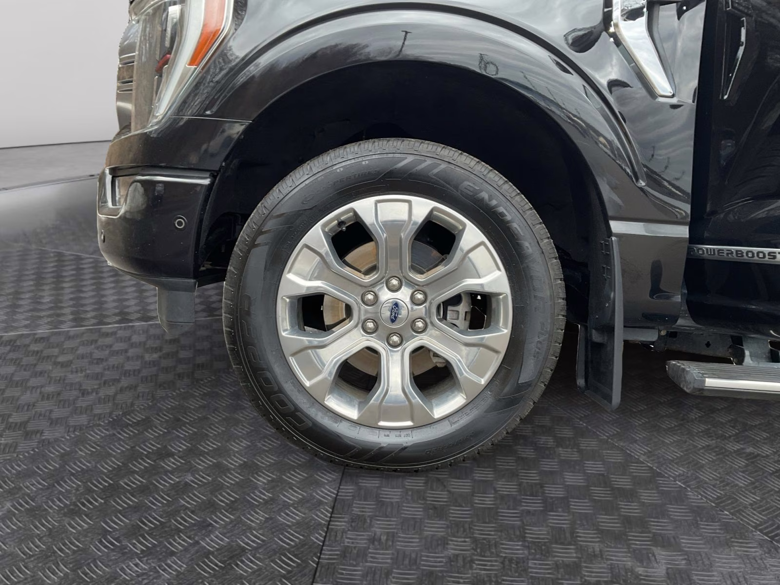 2021 Black Metallic Ford F-150 Platinum 4X4 Truck