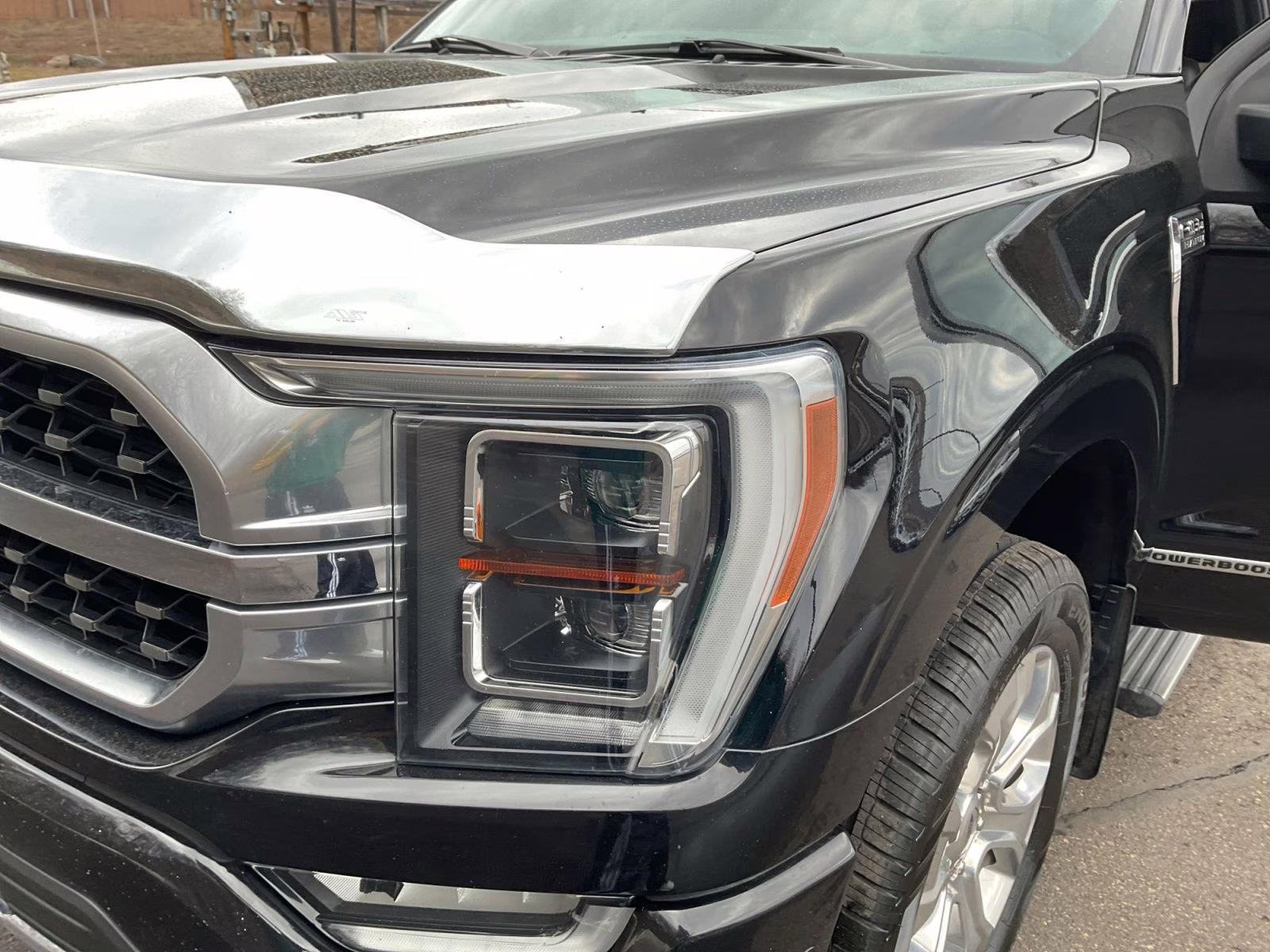 2021 Black Metallic Ford F-150 Platinum 4X4 Truck