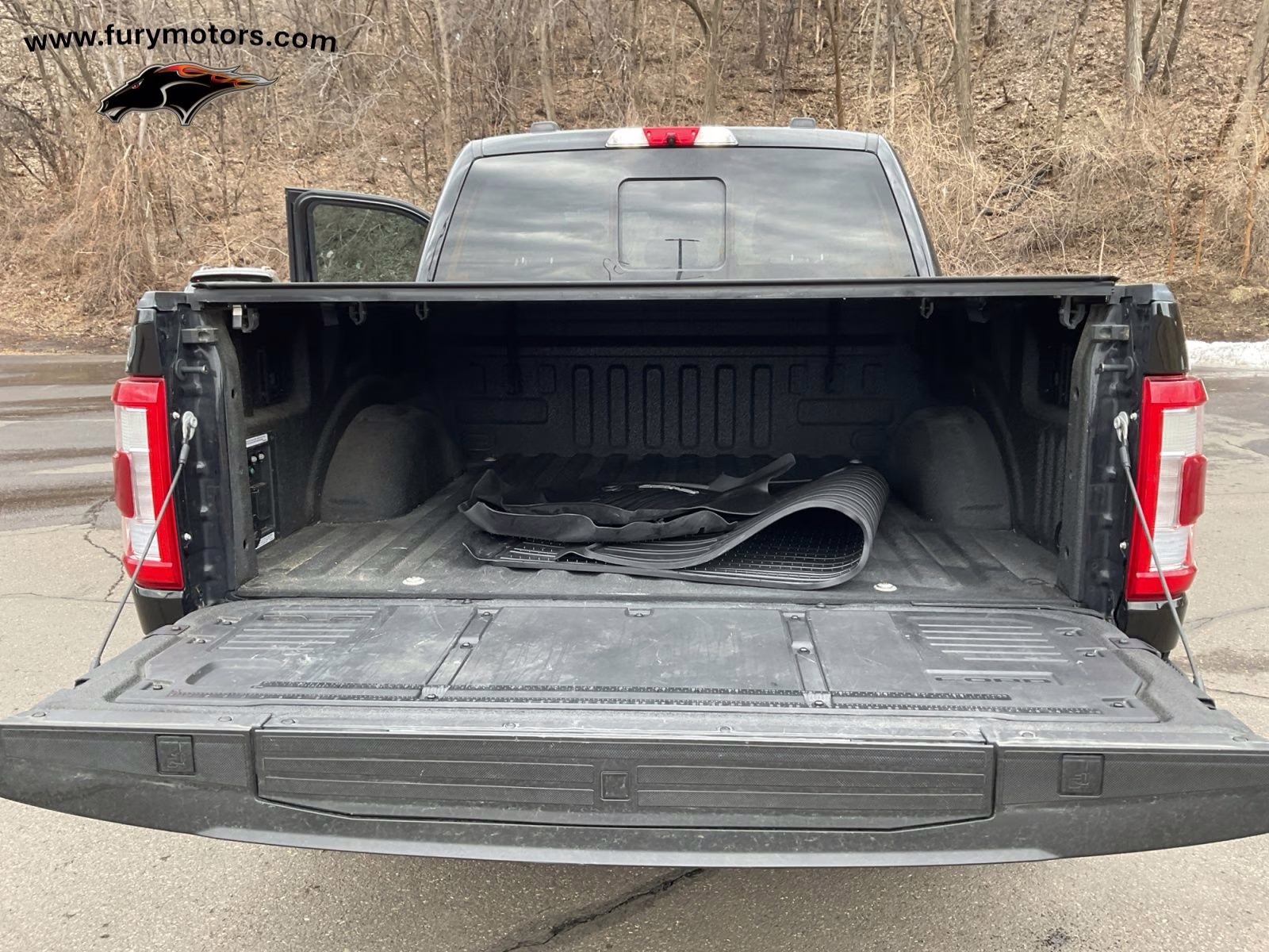 2021 Black Metallic Ford F-150 Platinum 4X4 Truck