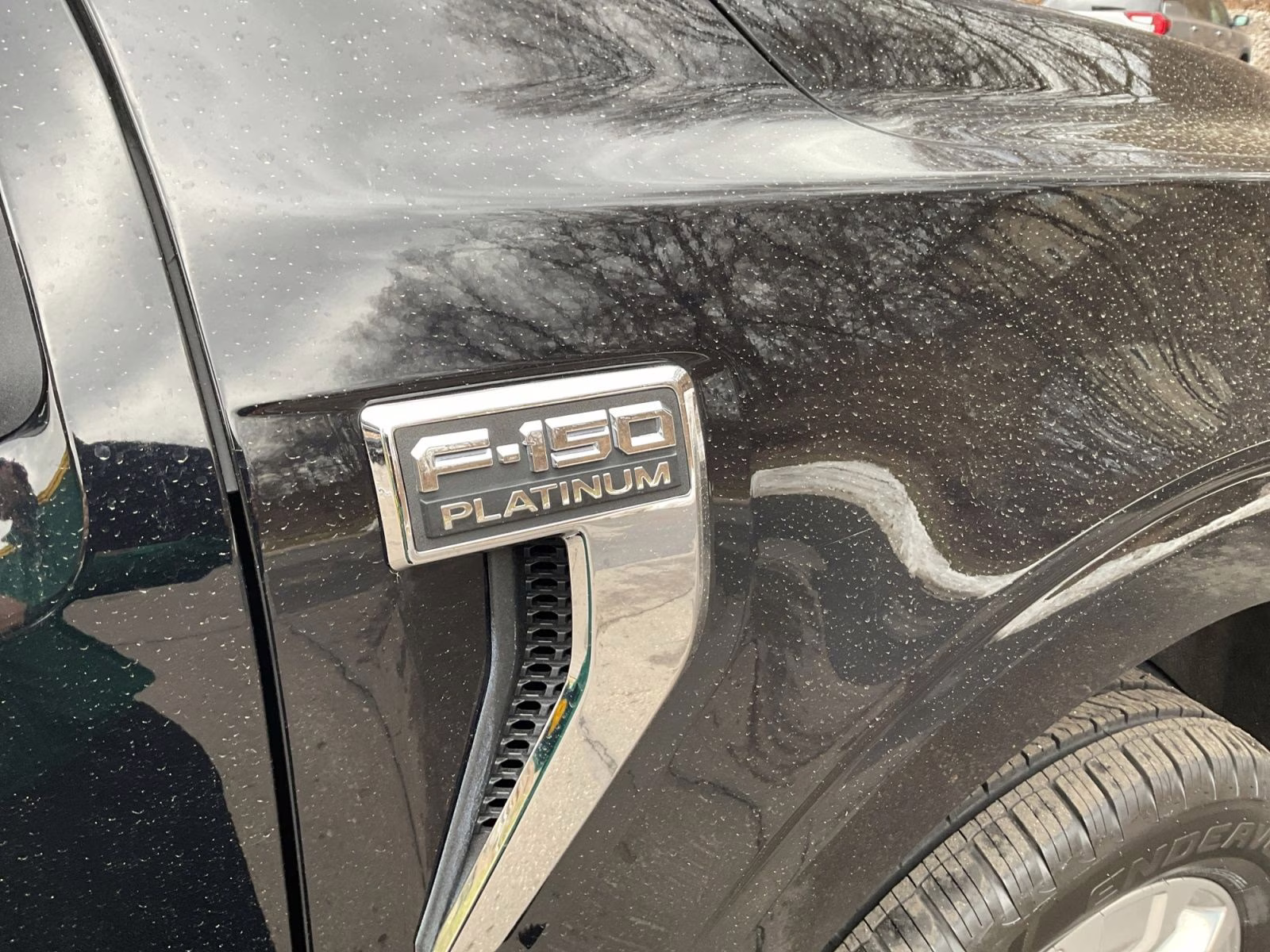 2021 Black Metallic Ford F-150 Platinum 4X4 Truck