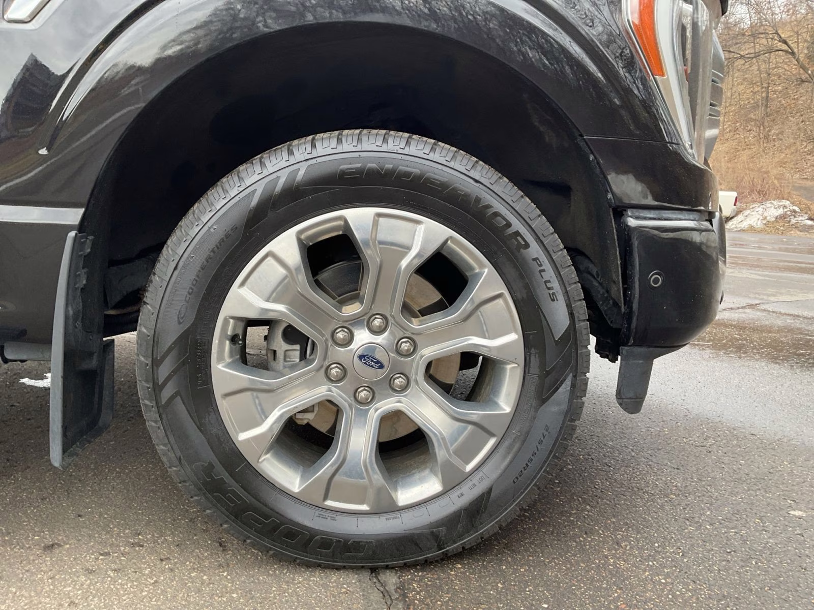 2021 Black Metallic Ford F-150 Platinum 4X4 Truck