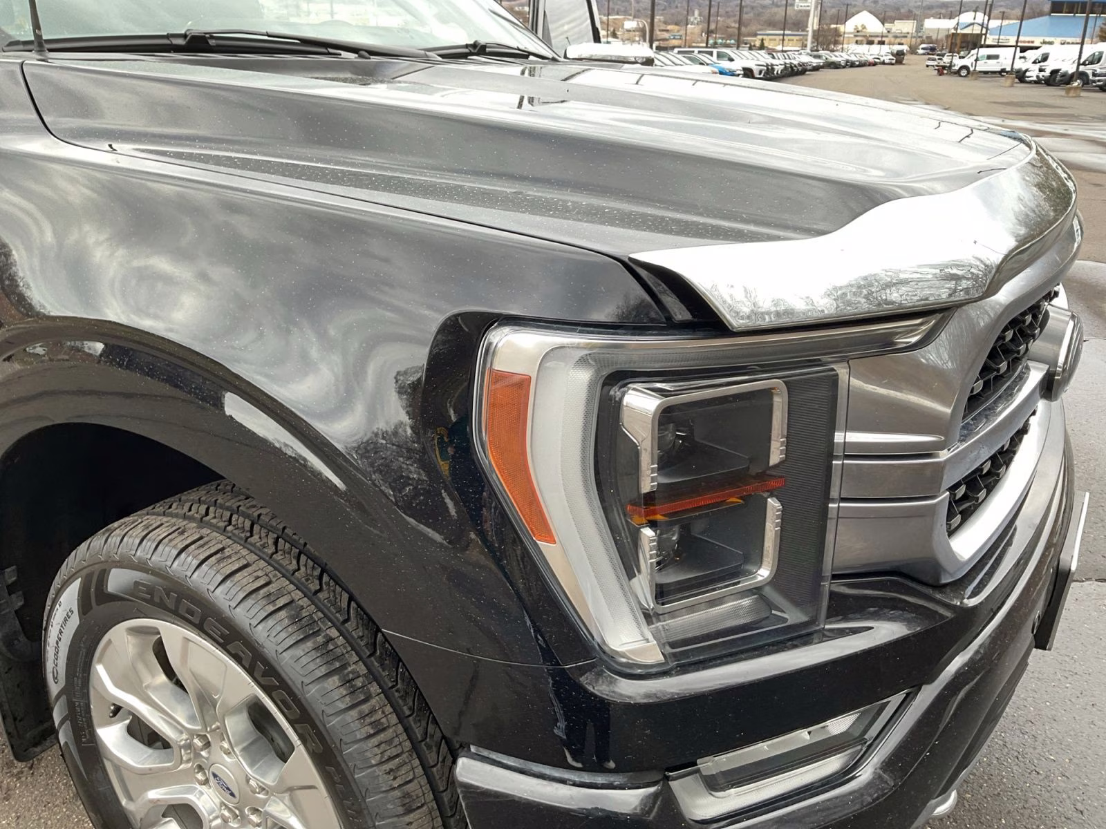 2021 Black Metallic Ford F-150 Platinum 4X4 Truck