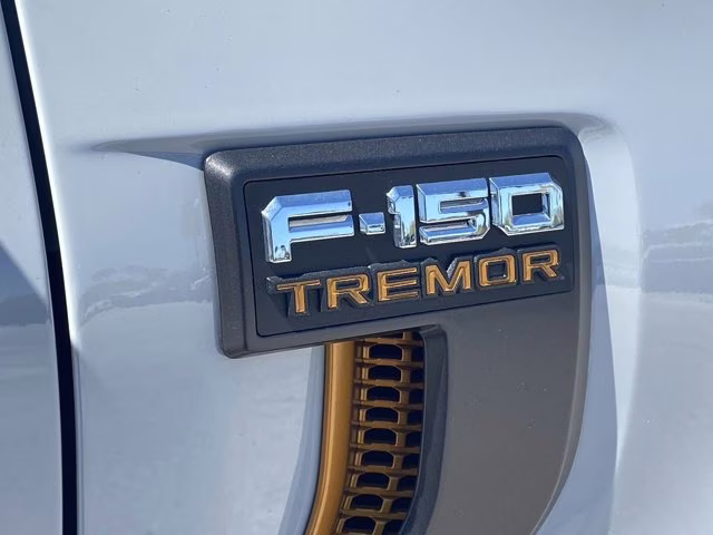 2026 Avalanche Ford F-150 Tremor 4X4 Truck