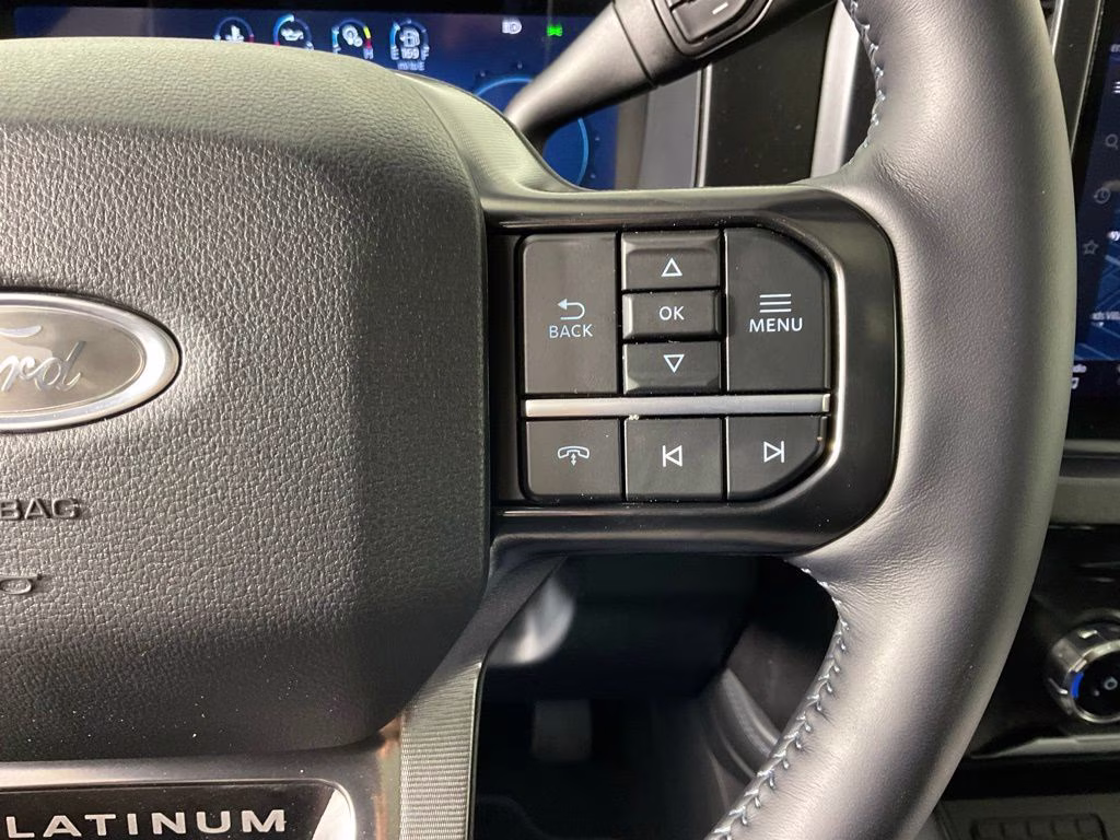 2026 Gray Ford Super Duty F-250 SRW Platinum 4X4 Truck