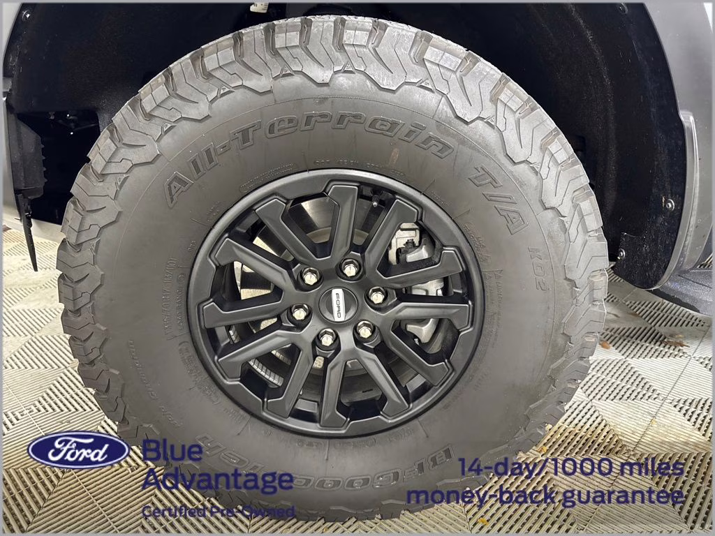 2025 Shelter Green Ford F-150 Raptor 4X4 Truck