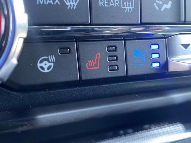 2026 Avalanche Ford F-150 Platinum 4X4 Truck