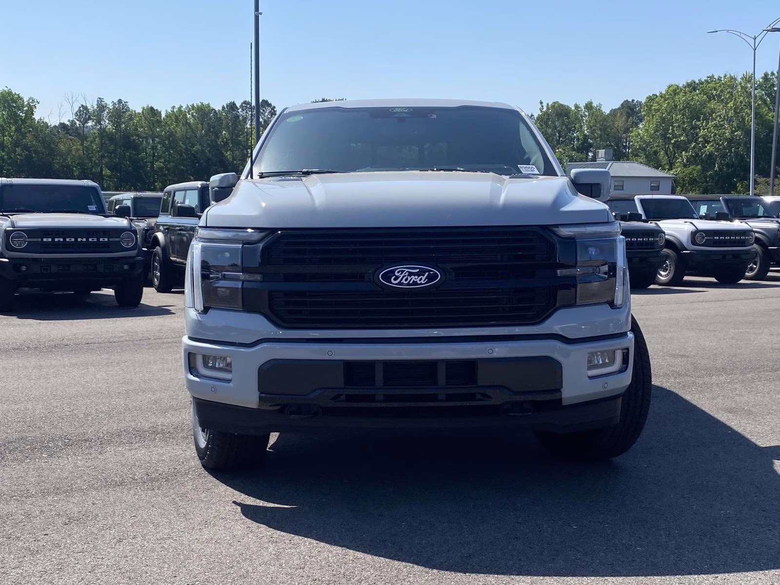 2026 Avalanche Ford F-150 Platinum 4X4 Truck