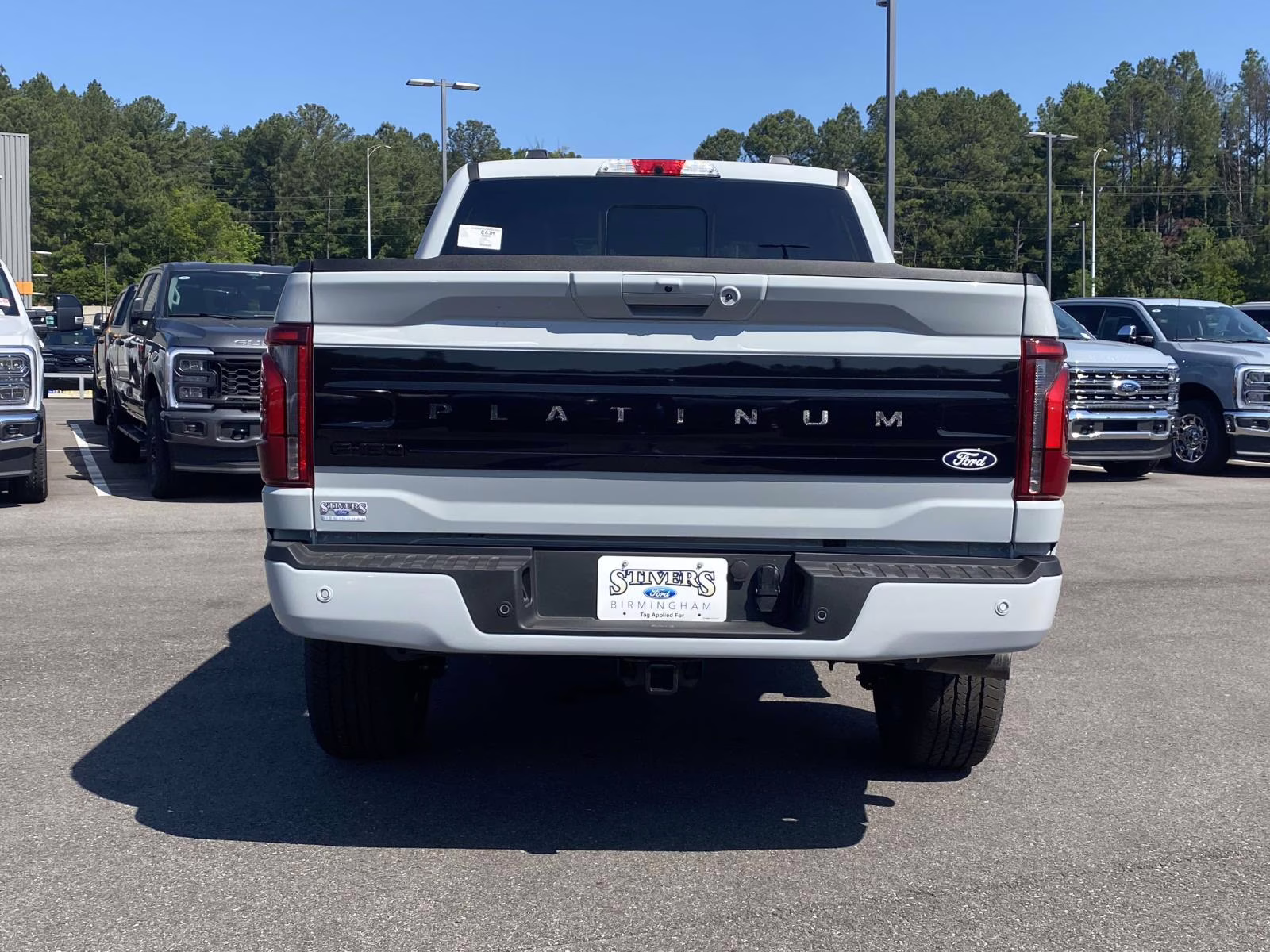 2026 Avalanche Ford F-150 Platinum 4X4 Truck