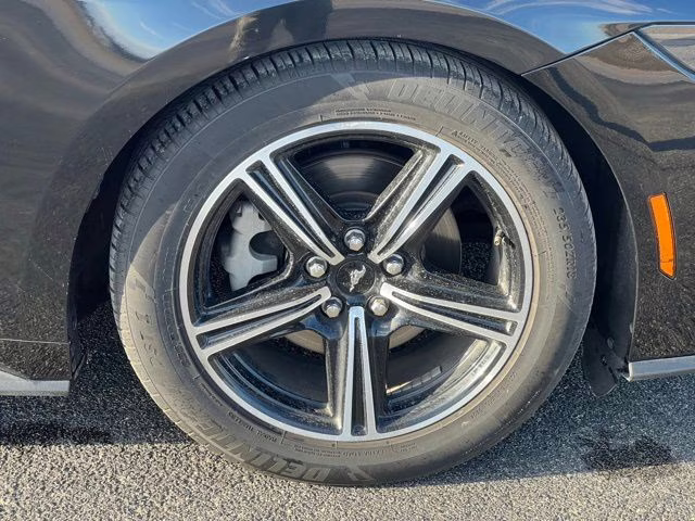 2024 Shadow Black Ford Mustang EcoBoost Premium RWD Convertible