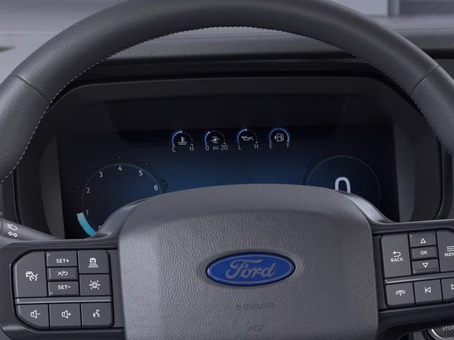 2025 Gray Metallic Ford F-150 Platinum 4X4 Truck
