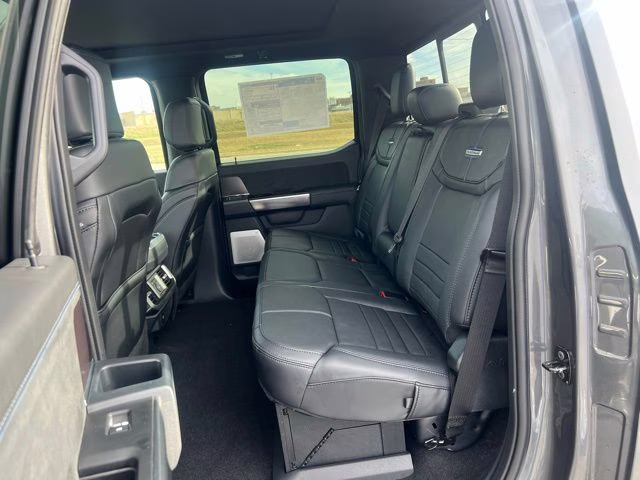 2025 Gray Metallic Ford F-150 Platinum 4X4 Truck