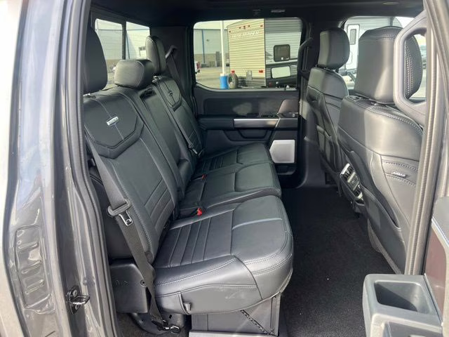 2025 Gray Metallic Ford F-150 Platinum 4X4 Truck