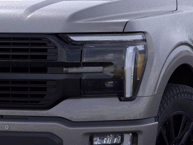 2025 Gray Metallic Ford F-150 Platinum 4X4 Truck