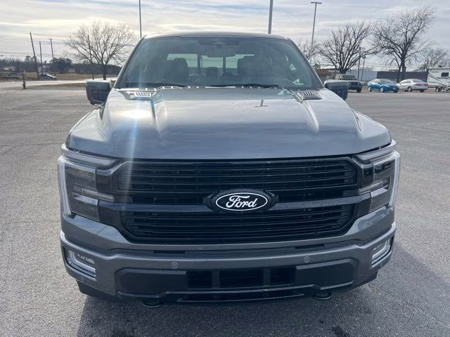 2025 Gray Metallic Ford F-150 Platinum 4X4 Truck