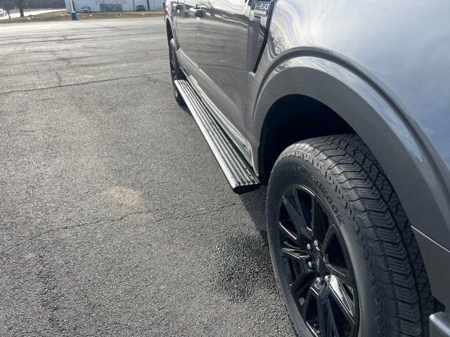 2025 Gray Metallic Ford F-150 Platinum 4X4 Truck