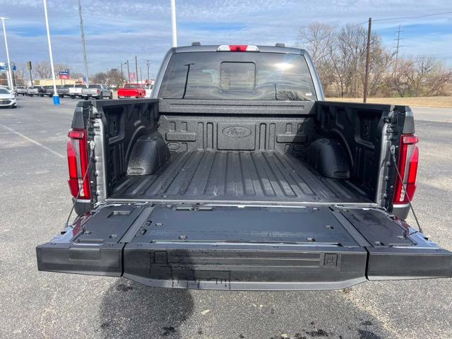 2025 Gray Metallic Ford F-150 Platinum 4X4 Truck