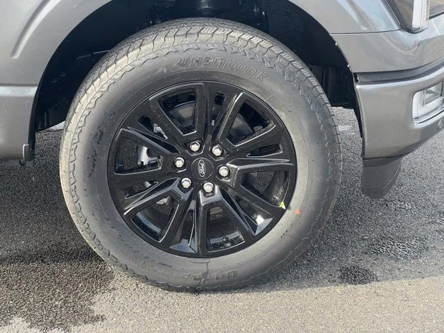 2025 Gray Metallic Ford F-150 Platinum 4X4 Truck