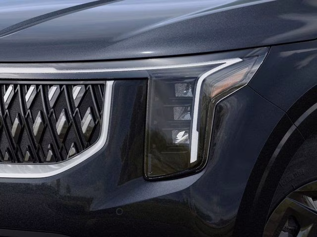 2026 Panthera Metal Kia Carnival LXS FWD Van